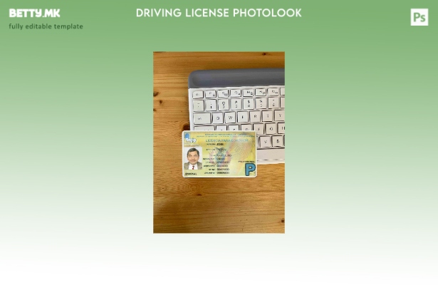 Модерен стил Боливија DL photolook ПРЕДЕН шаблон